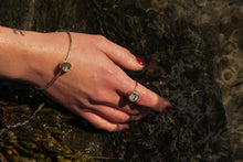 Load image into Gallery viewer, Abalone Bangle and/or Ring