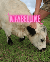Load image into Gallery viewer, Mabelline Pearl Choker - Toasted Jewelry