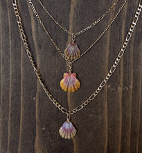 Load image into Gallery viewer, Figaro Sunrise Shell Necklace - Toasted Jewelry