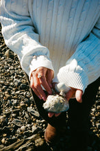 Load image into Gallery viewer, Abalone Bangle and/or Ring