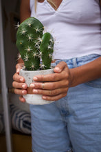 Load image into Gallery viewer, Adjustable Midi Ring - Toasted Jewelry