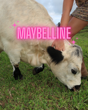 Load image into Gallery viewer, Mabelline Pearl Choker
