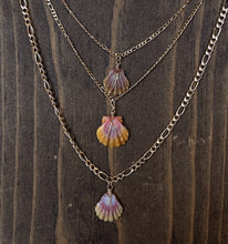 Load image into Gallery viewer, Figaro Sunrise Shell Necklace
