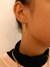 Load image into Gallery viewer, Firefly Linx Earrings
